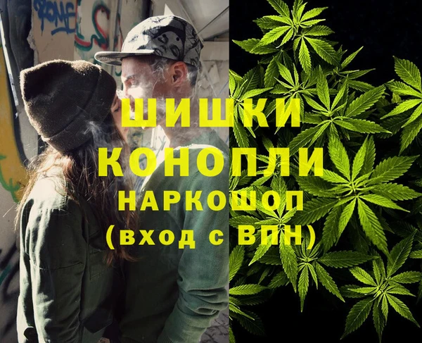 МДПВ Абаза