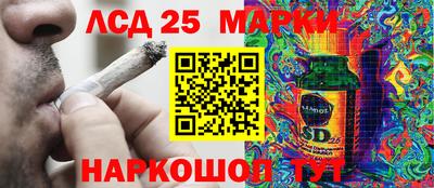 гидропоника Абакан
