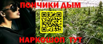 прущие грибы Азнакаево