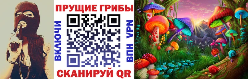Галлюциногенные грибы прущие грибы  Александров 