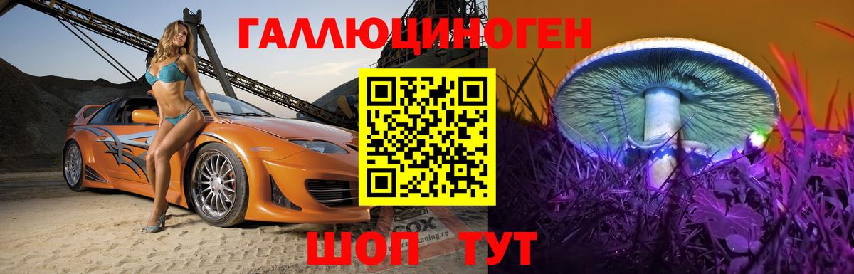 Александров  Псилоцибиновые грибы GOLDEN TEACHER  Вход с VPN  Галлюциногенные грибы MAGIC MUSHROOMS 